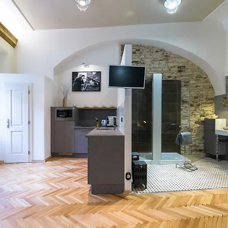 Nebovidy I - Historic Centre - Terrace - Air Conditioning Praga