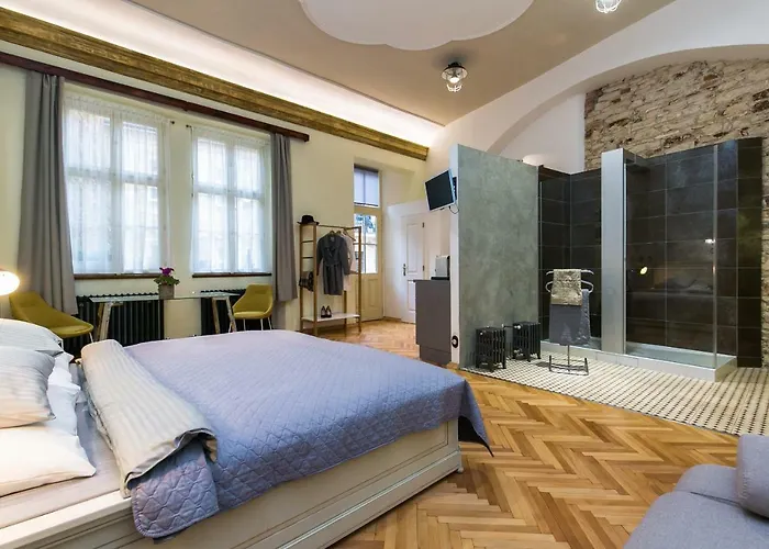 Nebovidy I - Historic Centre - Terrace - Air Conditioning Apartament