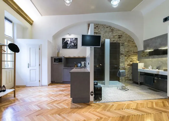 Nebovidy I - Historic Centre - Terrace - Air Conditioning براغ